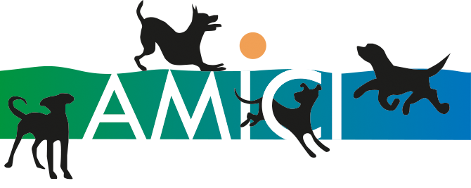 Amici